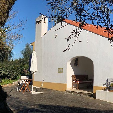 Quinta Dos Girassois Fz Διαμέρισμα Ferreira do Zêzere Εξωτερικό φωτογραφία