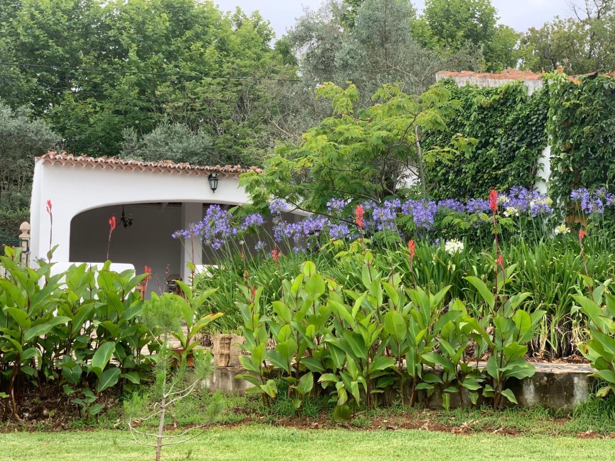Quinta Dos Girassois Fz Διαμέρισμα Ferreira do Zêzere Εξωτερικό φωτογραφία